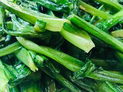 清炒油麦菜-前门故事烤鸭店(十里河店)