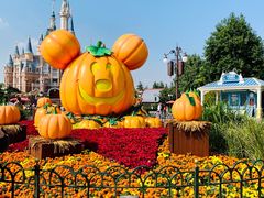 -上海迪士尼度假区