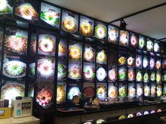 -金手勺东北菜馆(大屯北路店)