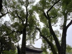 -天一阁博物院