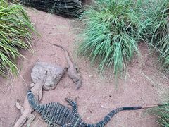 -费瑟代尔野生动物园