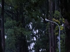 -缙云山景区