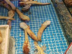 -驻海渔市(置信店)