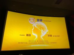 -孩子王童乐园(上海青浦吾悦广场店)