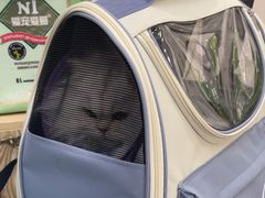 -四月宠物医院·猫专科·心脏专科·内科(转塘店)