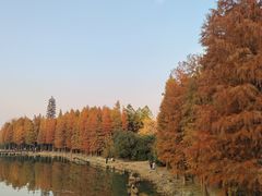 -长广溪湿地公园