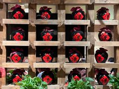 -泥糊破店小酒馆·团建聚餐(南京西路店)