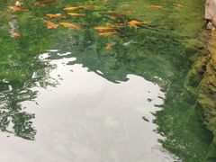 -大奇山国家森林公园