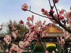 -达活泉公园