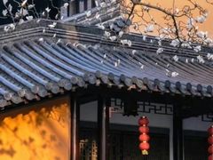 -灵谷景区