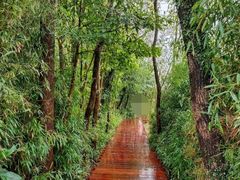 -西溪国家湿地公园