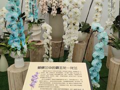 -上海鲜花港