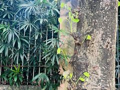 -华南国家植物园-售票处