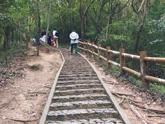 -上海佘山国家森林公园天马山园