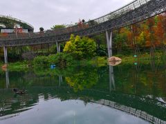 -梅峰山地公园