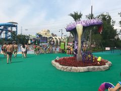 -苏州乐园森林水世界