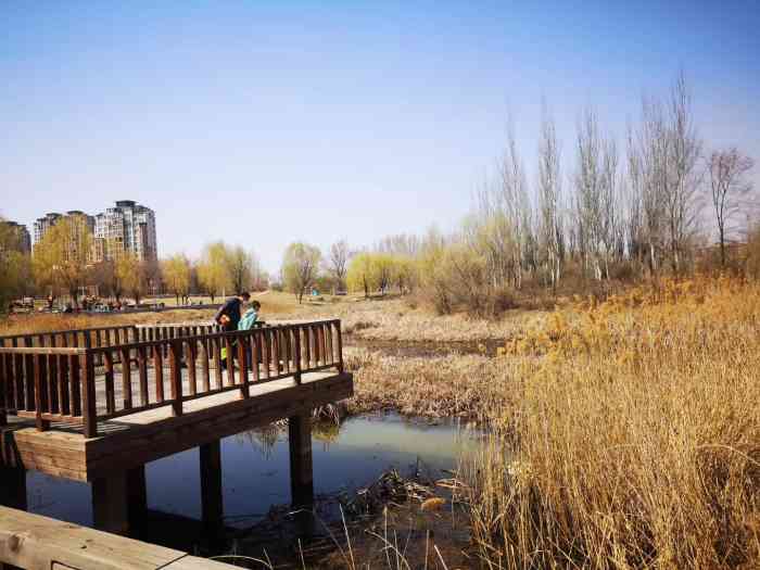 大溪地1期-"大溪地公园 开了20多公里.啥也没有啊,."-大众点评移动版