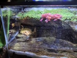 -酷嗒动物文化乐园(cutezoo西溪乐天城店)