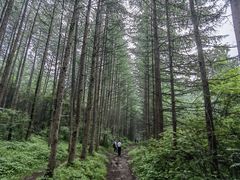 -秦岭风景区