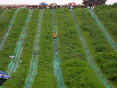 -南戴河国际娱乐中心