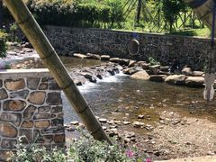 -北仑森林植物园