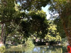 -成都市活水公园