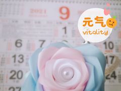 -枣子树素餐厅(铂金城店)
