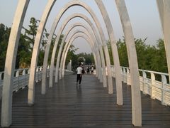 -大兴滨河森林公园