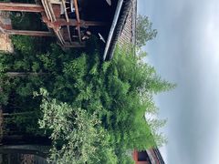 -田德能咖啡博物馆