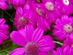 -森居forest休闲咖啡聚集地