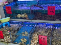 -金海湾海鲜排档(朱家尖店)