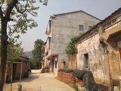 -素山寺森林公园