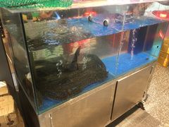 水产区-本炙炭烤·蒲烧活鳗料理店(金沙洲店)
