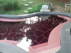-东海森林温泉