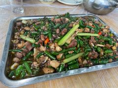 -铁山坪森林公园