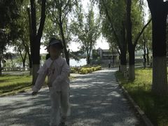 -青龙湖公园
