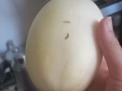 -示范集贸市场
