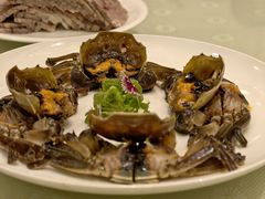 -王宝和酒家(黄浦店)