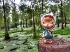 -池杉湖湿地公园