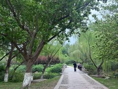 -采石矶景区