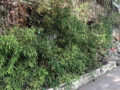 -馬蘭花開(车站大道店)