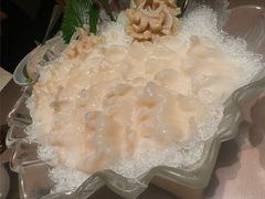 加拿大象拔蚌-協成海鮮火鍋(老店)