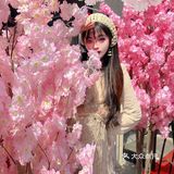 来樱花之城，怎能错过巴厘小龙虾🦞