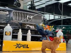 -XPEL旗舰店·汽车贴膜·隐形车衣·改色贴膜