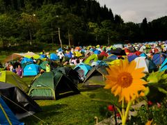 -武陵山森林公园