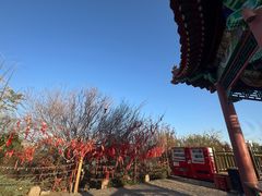 -南翠屏公园