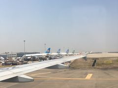 -上海浦东国际机场长途汽车客运站