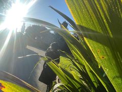 -墨尔本皇家植物园