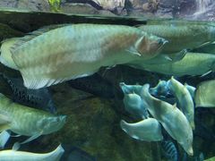 -成都浩海立方海洋公园