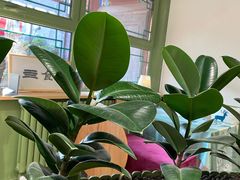 -Catch Bagel(芳草地店)